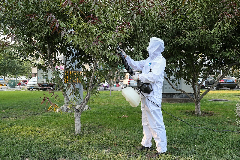 蚊子,滅蚊,別墅客戶(hù),怎么滅蚊子,美汐環(huán)境 蚊子,滅蚊,別墅客戶(hù),怎么滅蚊子,美汐環(huán)境